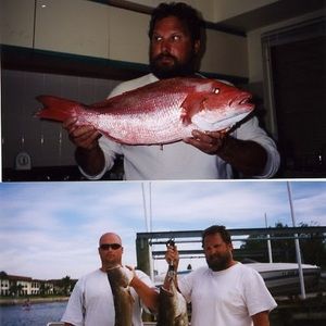 Meet your Posher, George